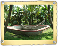 Village Paradise