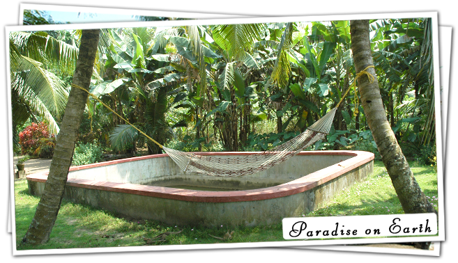 Kerala Tour